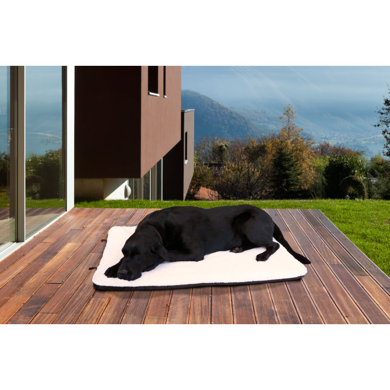 Tucker Murphy Pet Billy Sherpa Crate Orthopedic Pet Mat & Reviews Wayfair